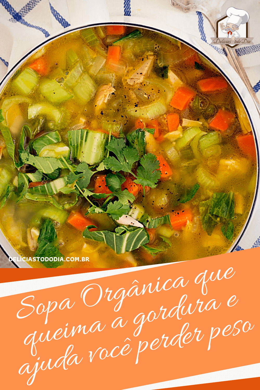 sopa orgânica