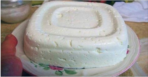 Queijo fresco com apenas 3 ingredientes