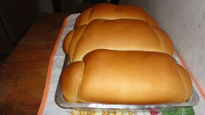 Pão Caseiro Fácil 1 pão caseiro fácil